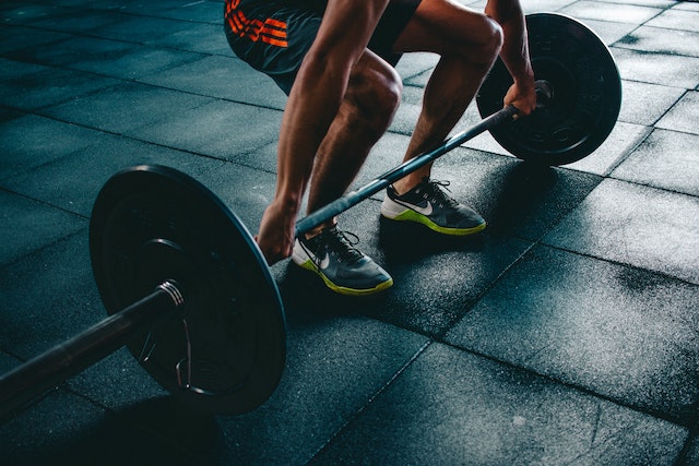 muscle building for beginners